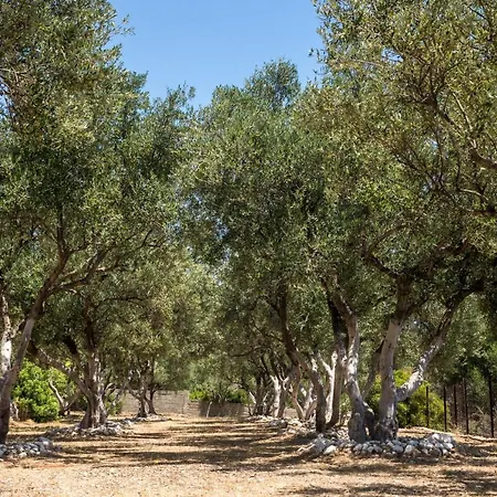 Lägenhetshotell Buena Vista Lourdata (Kefalonia)