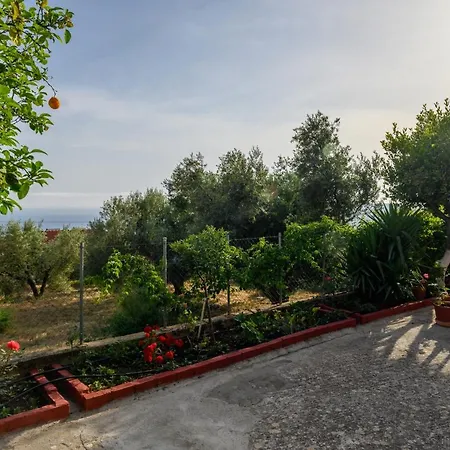 Buena Vista Lägenhetshotell