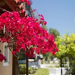 Buena Vista Aparthotel Lourdata (Kefalonia)