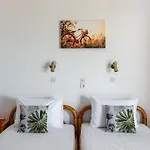 Buena Vista 3* Lourdata (Kefalonia)