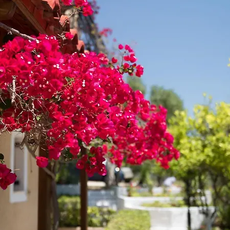 Buena Vista Lägenhetshotell Lourdata (Kefalonia)