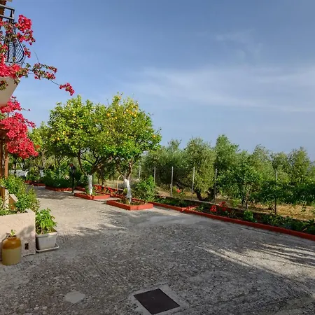 Aparthotel Buena Vista Lourdata (Kefalonia)