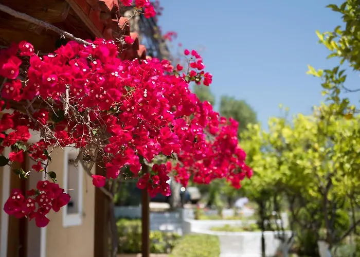 Buena Vista Aparthotel Lourdata (Kefalonia)