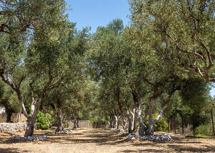 Апарт-отель Buena Vista Лурдата