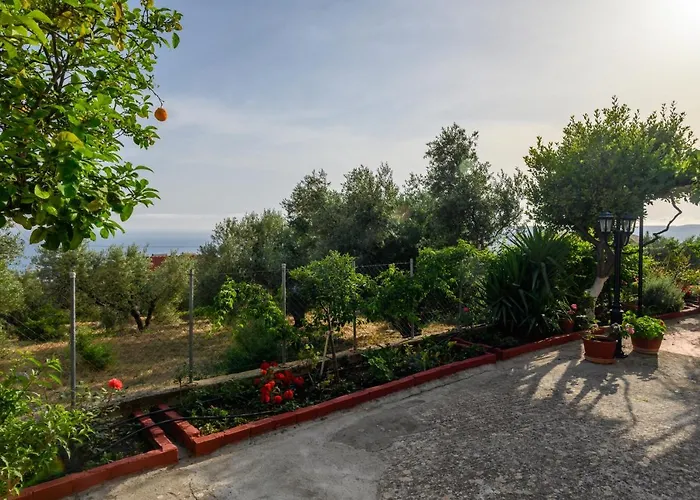 Buena Vista Aparthotel